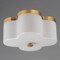 Maxim Lighting Clover 2-Light Flush Mount, Natural Aged Brass 12240WTNAB - alternate 3